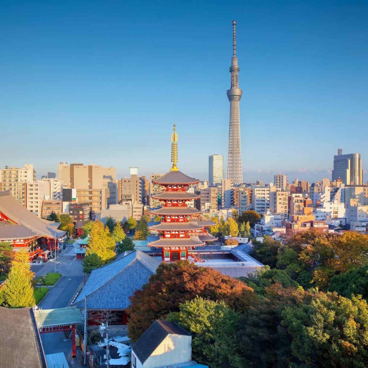 https://gateway-travel.com/wp-content/uploads/2018/09/destination-tokyo-04-1280x1280.jpg