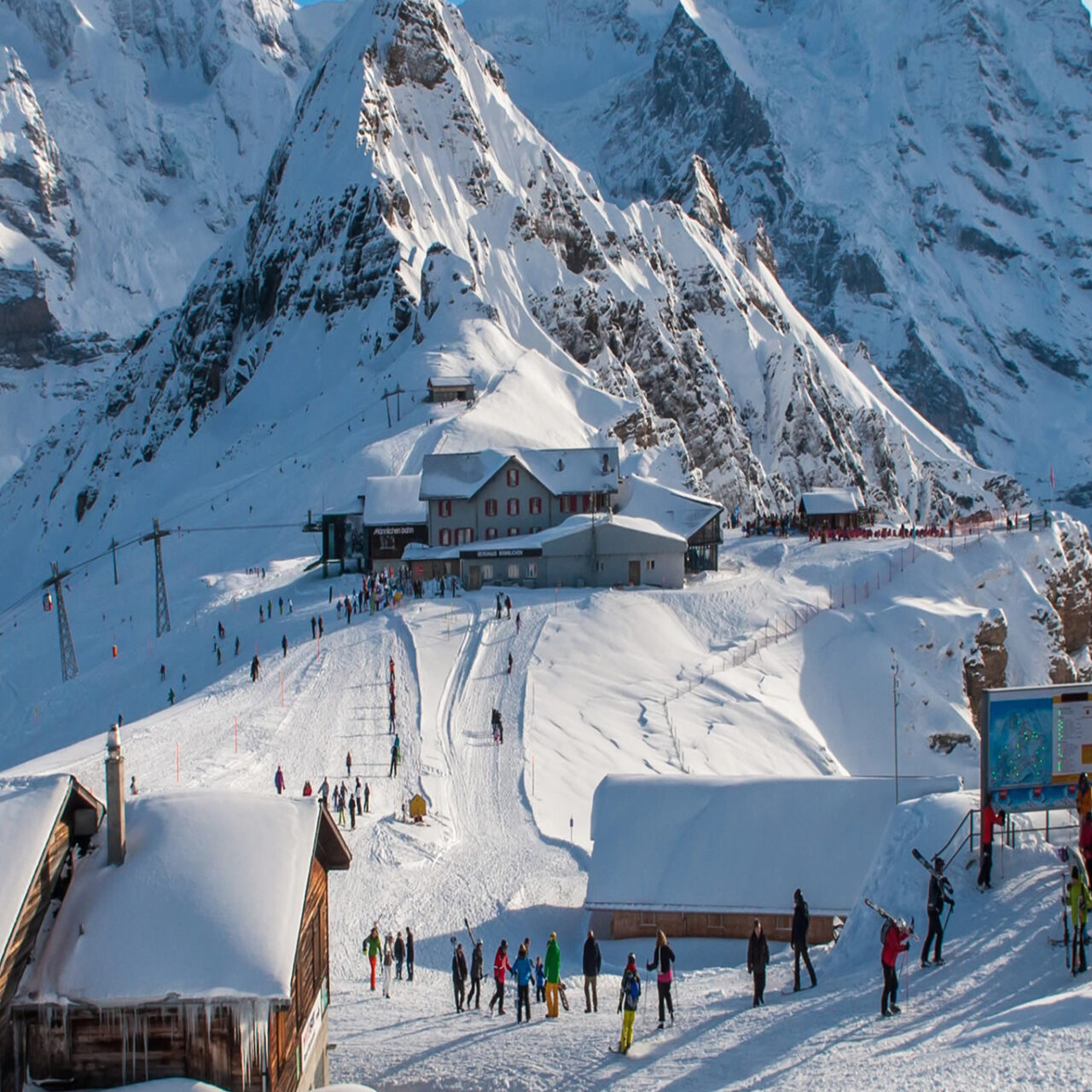 Delhi / Shimla / Manali / Chandigarh