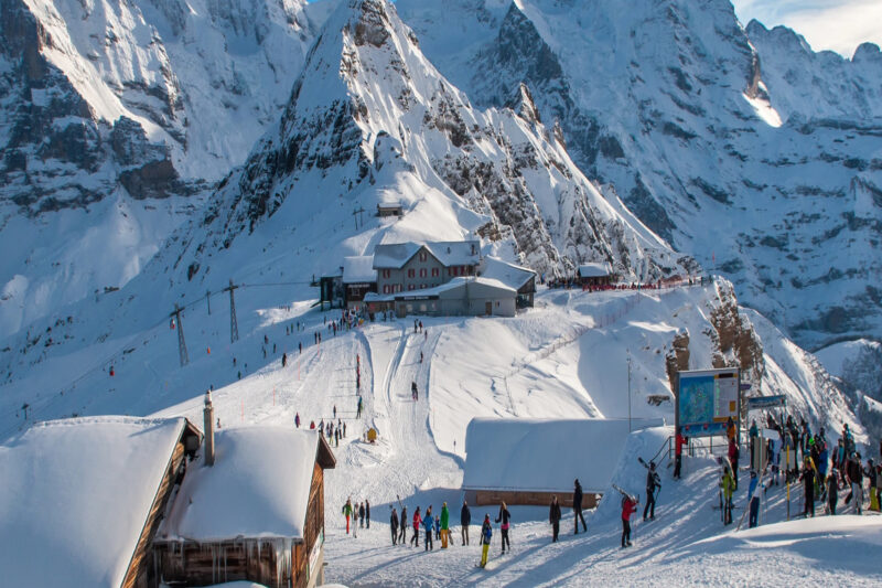 Delhi / Shimla / Manali / Chandigarh