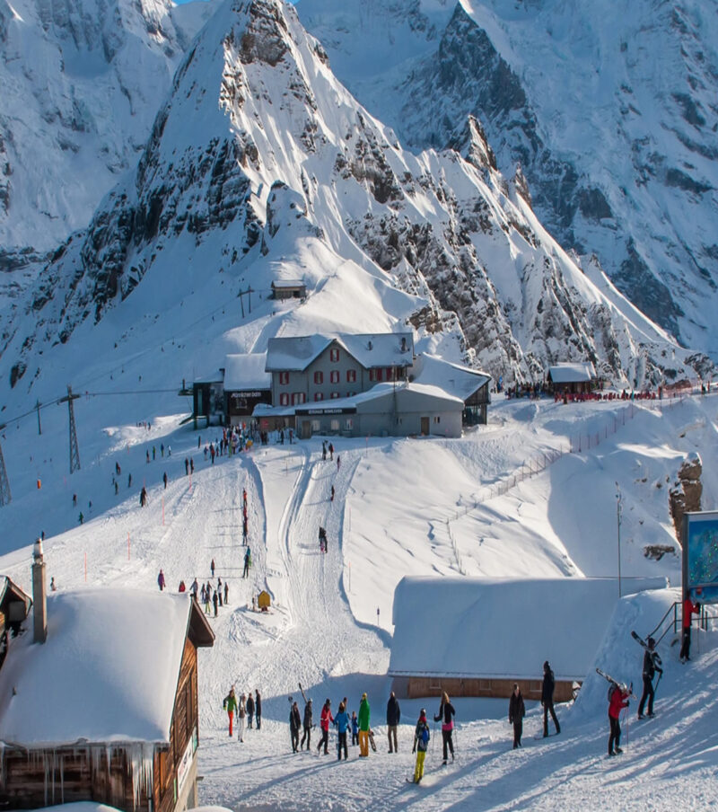 Delhi / Shimla / Manali / Chandigarh