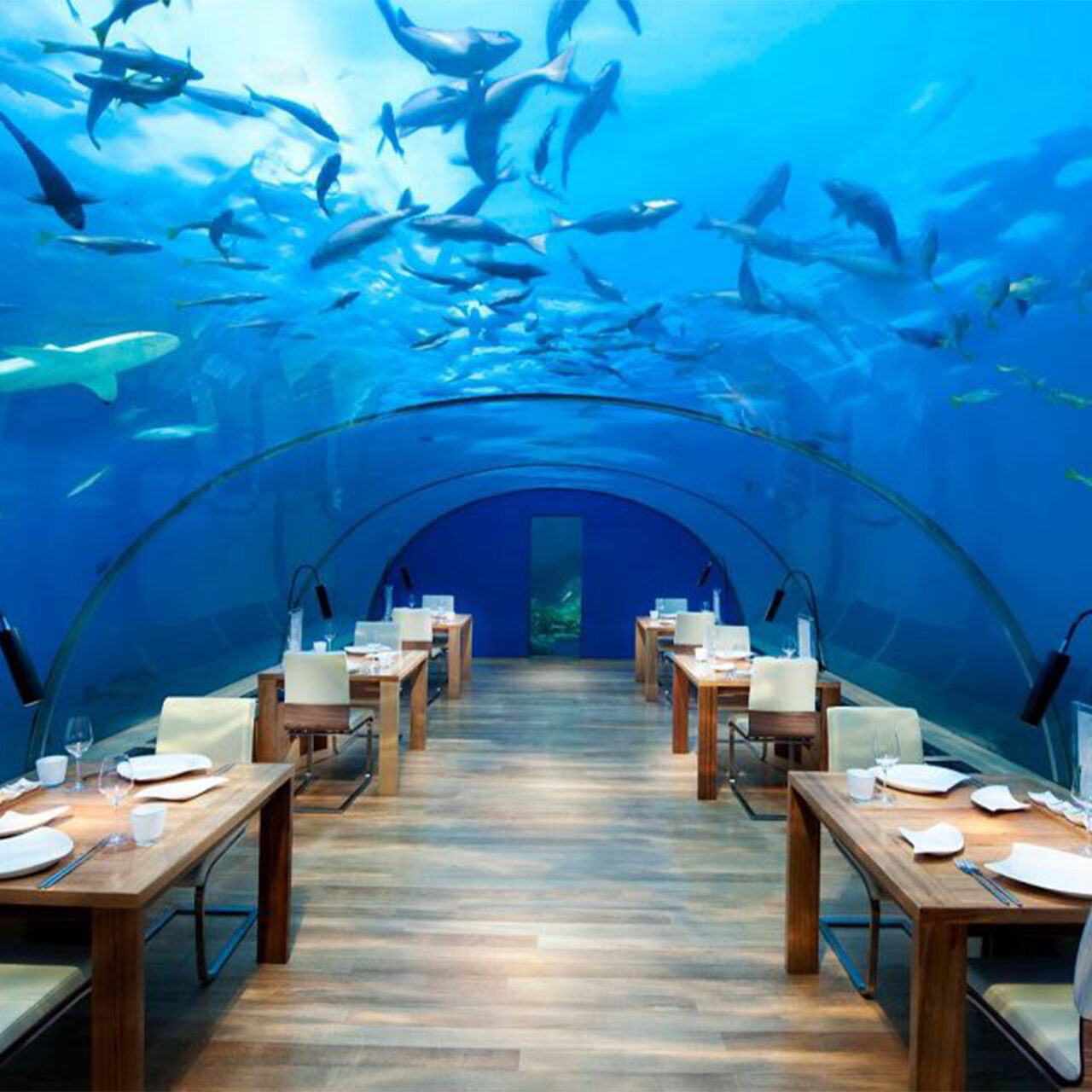 Atlantis Lunch or Dinner