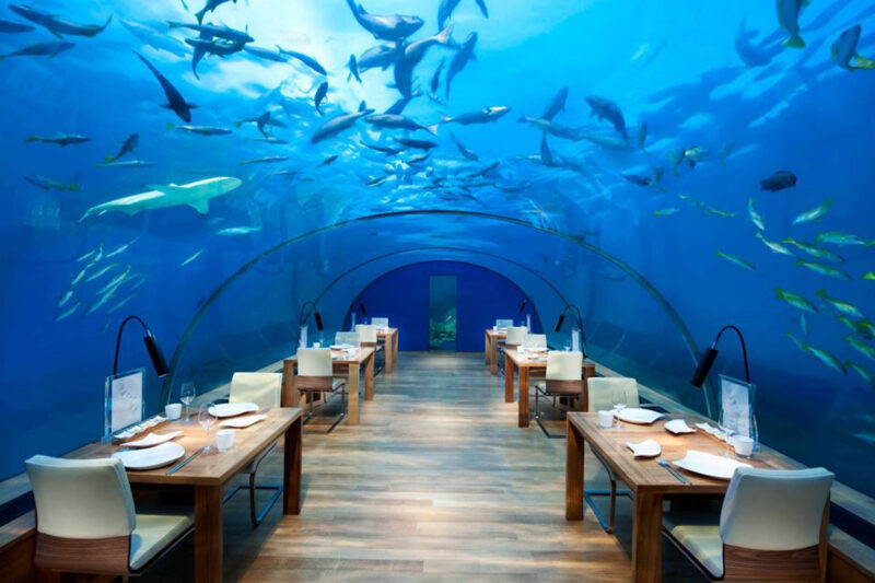 Atlantis Lunch or Dinner