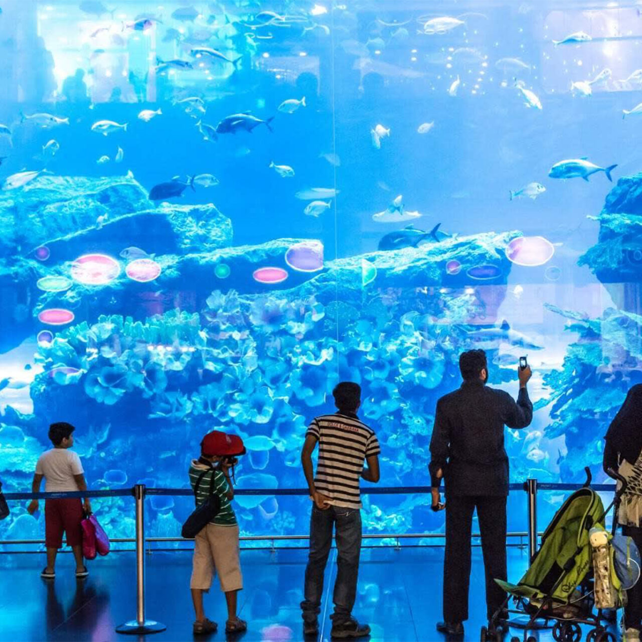 Atlantis the Lost Chamber Aquarium ticket