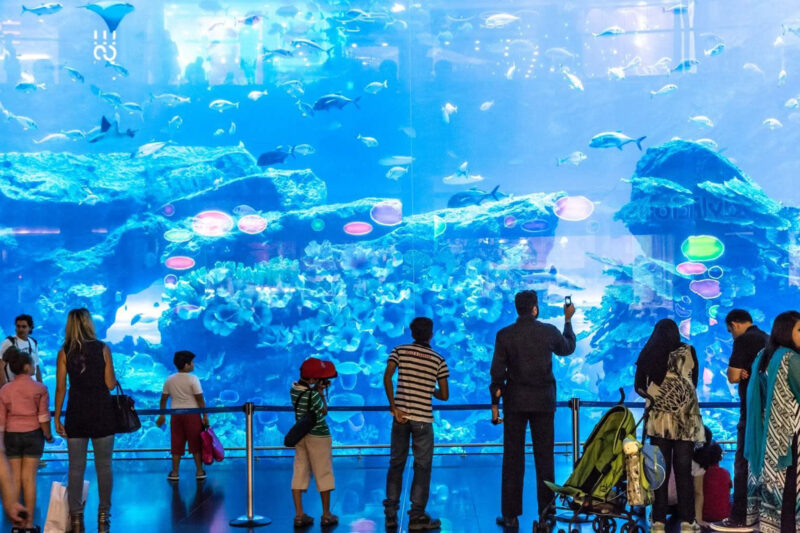 Atlantis the Lost Chamber Aquarium ticket