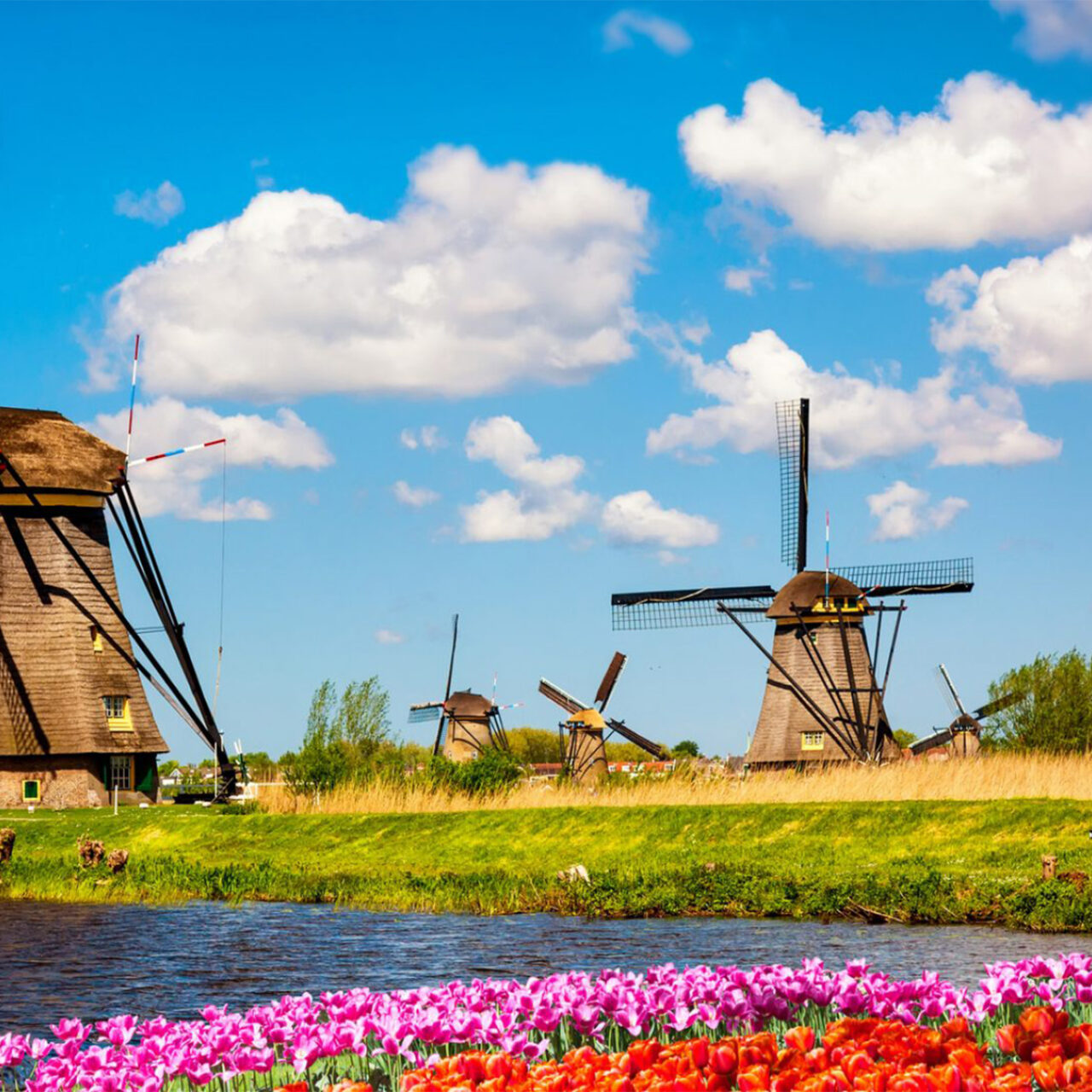 Essence of Holland & Belgium