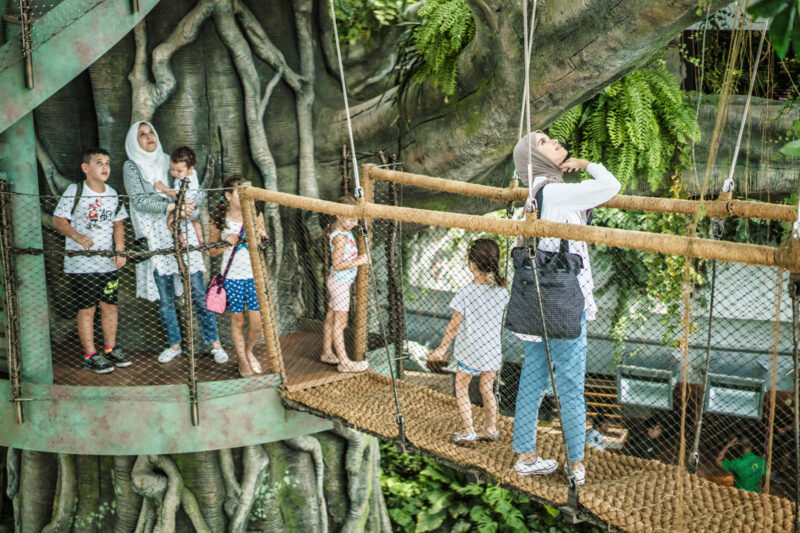 Green Planet + VR Park (COMBO)