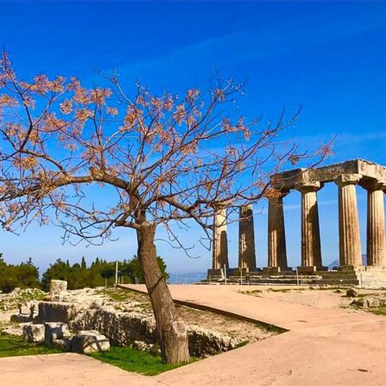 Half Day Ancient Corinth tour
