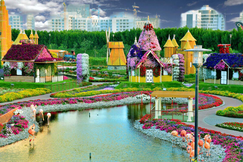 Miracle Garden Dubai