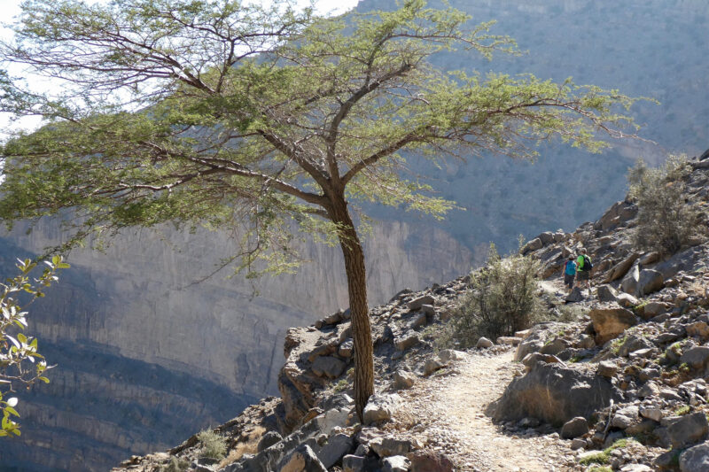 Oman’s Grand Canyon