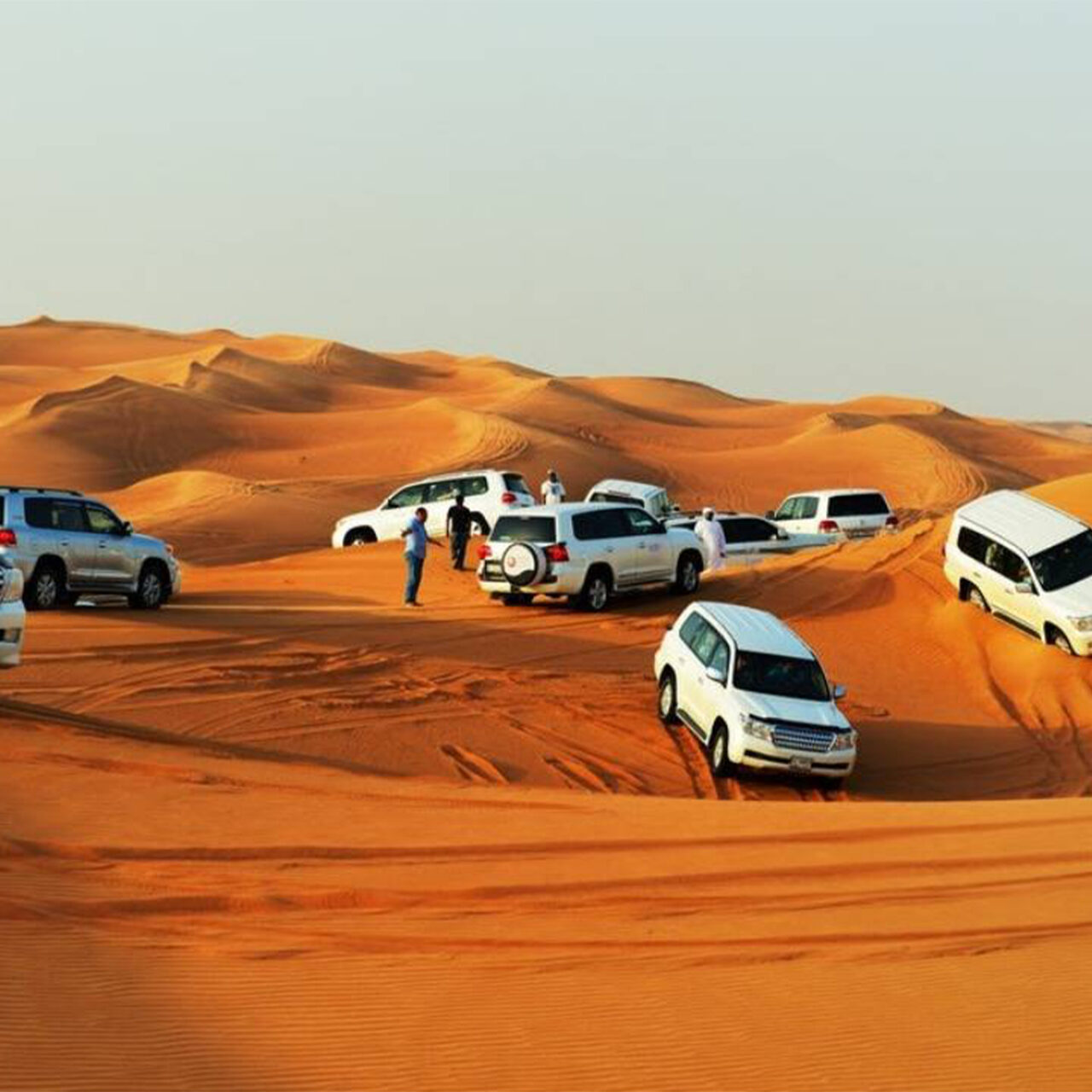 Premium desert safari