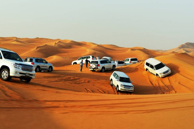 Premium desert safari