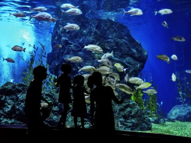 post_capetown_01 https://gateway-travel.com/wp-content/uploads/2018/08/post_capetown_01-640x480.jpg