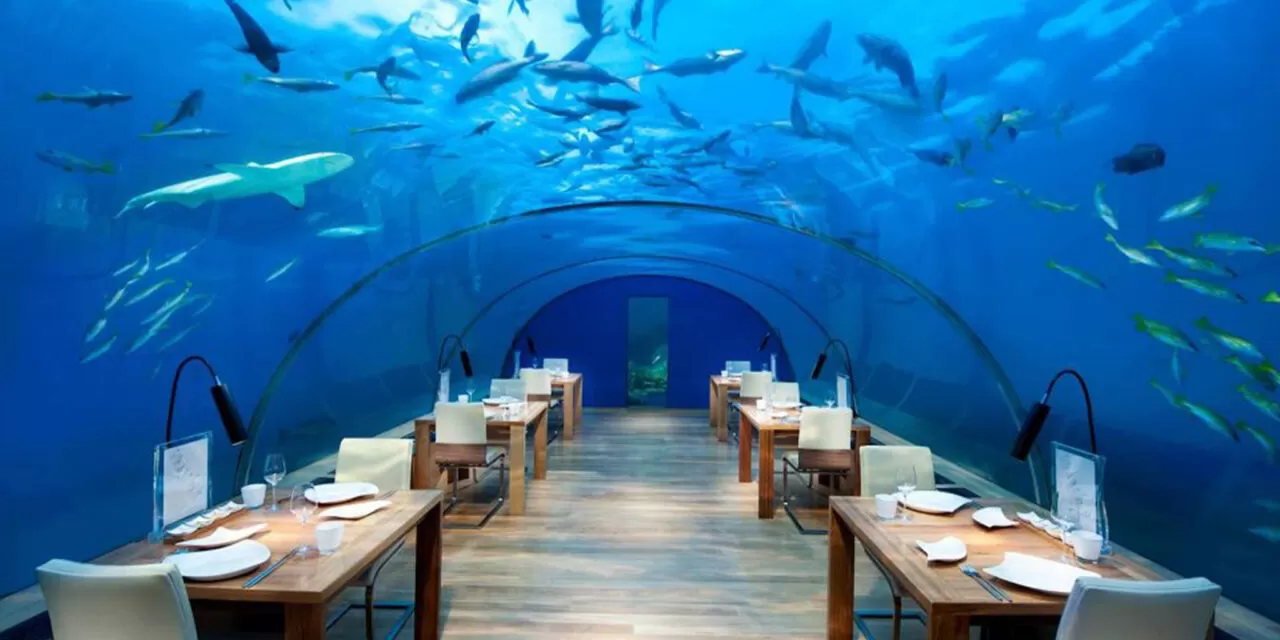 Atlantis Lunch or Dinner