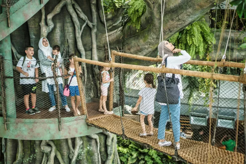 Green Planet + VR Park (COMBO)