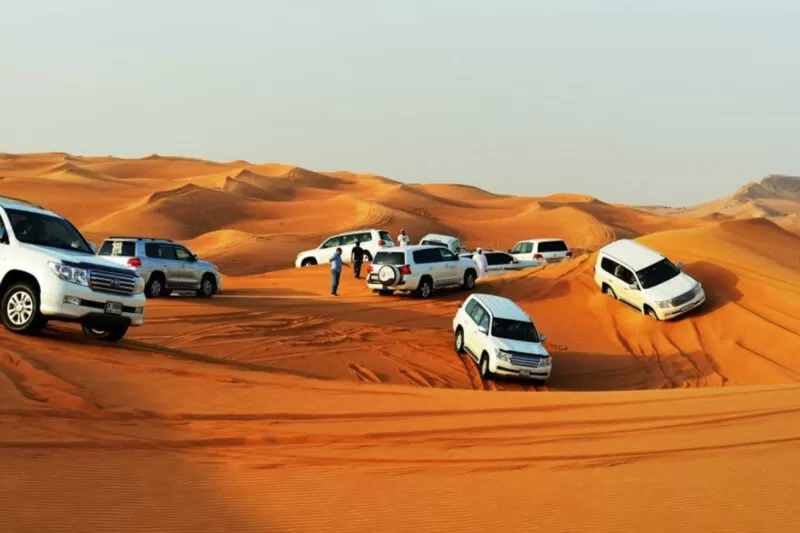 Premium desert safari